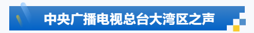 911175ec-7b07-45ce-9f07-9189520ceee8.png