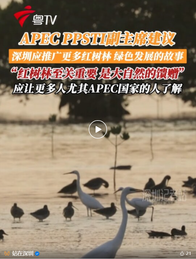 c51c7979-1239-46c7-b955-9ec2132e88d0.png
